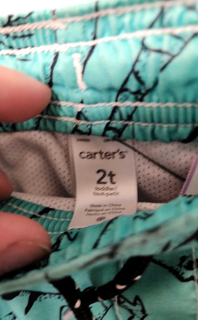 Carters Boy's Size 2 Green Swim Trunks