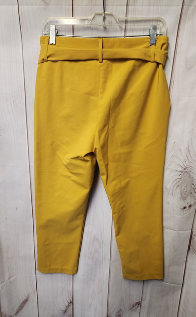 JL Atelier Women's Size M Yellow Pants