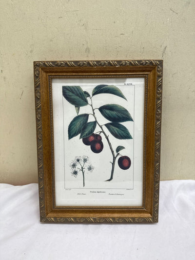 Floral Framed Art