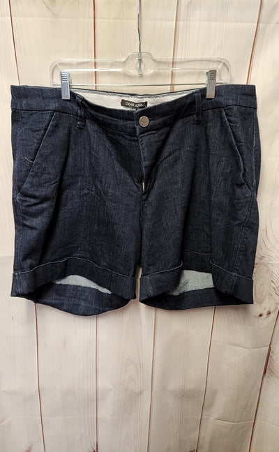 Dear John Women's Size 18 Blue Shorts