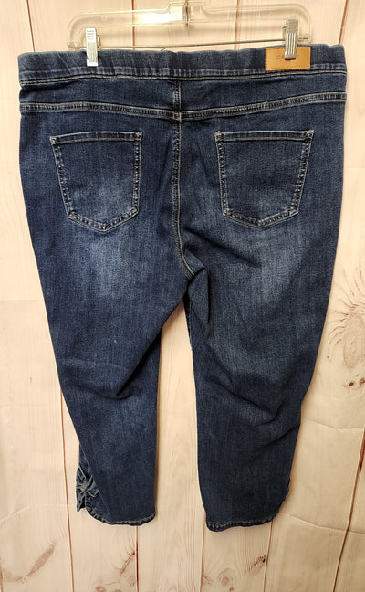 Charlie Women's Size 33 (15-16) Blue Jeans