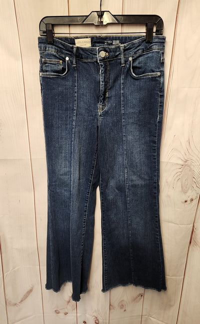 Pilcro Women's Size 27 (3-4) Petite Blue Jeans