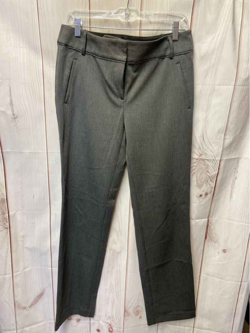 Loft Women's Size 6 Gray Pants