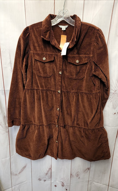 NWT American Eagle Women's Size M Brown Dress