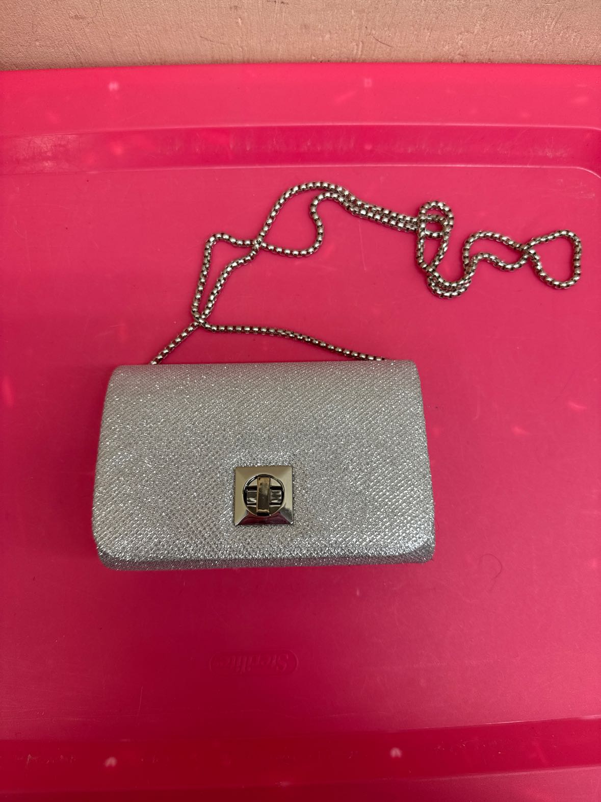Silver Purse Bag