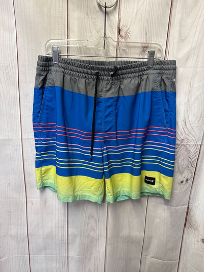 Hurley Men's Size L Blue Shorts