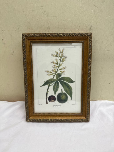 Floral Framed Art