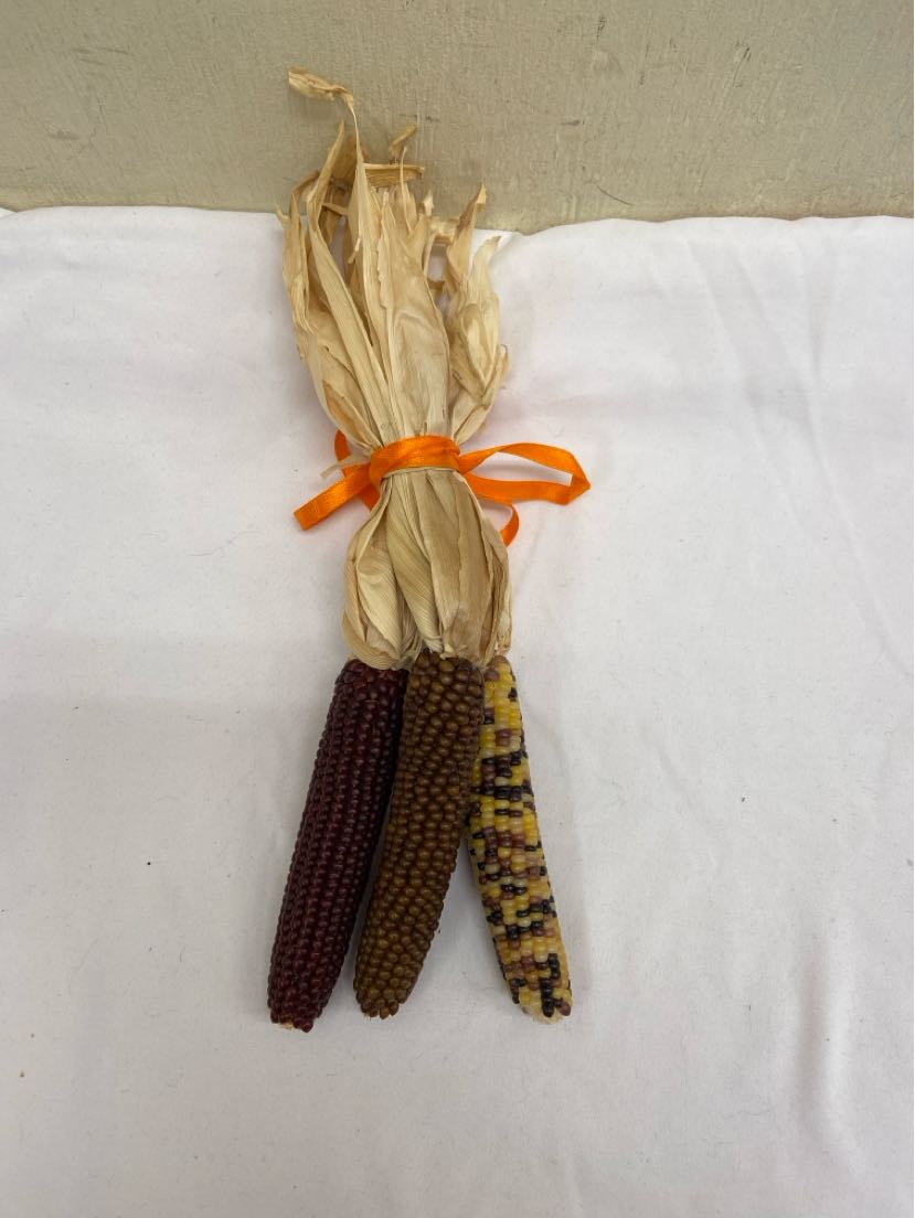 Corn Misc. Accessory