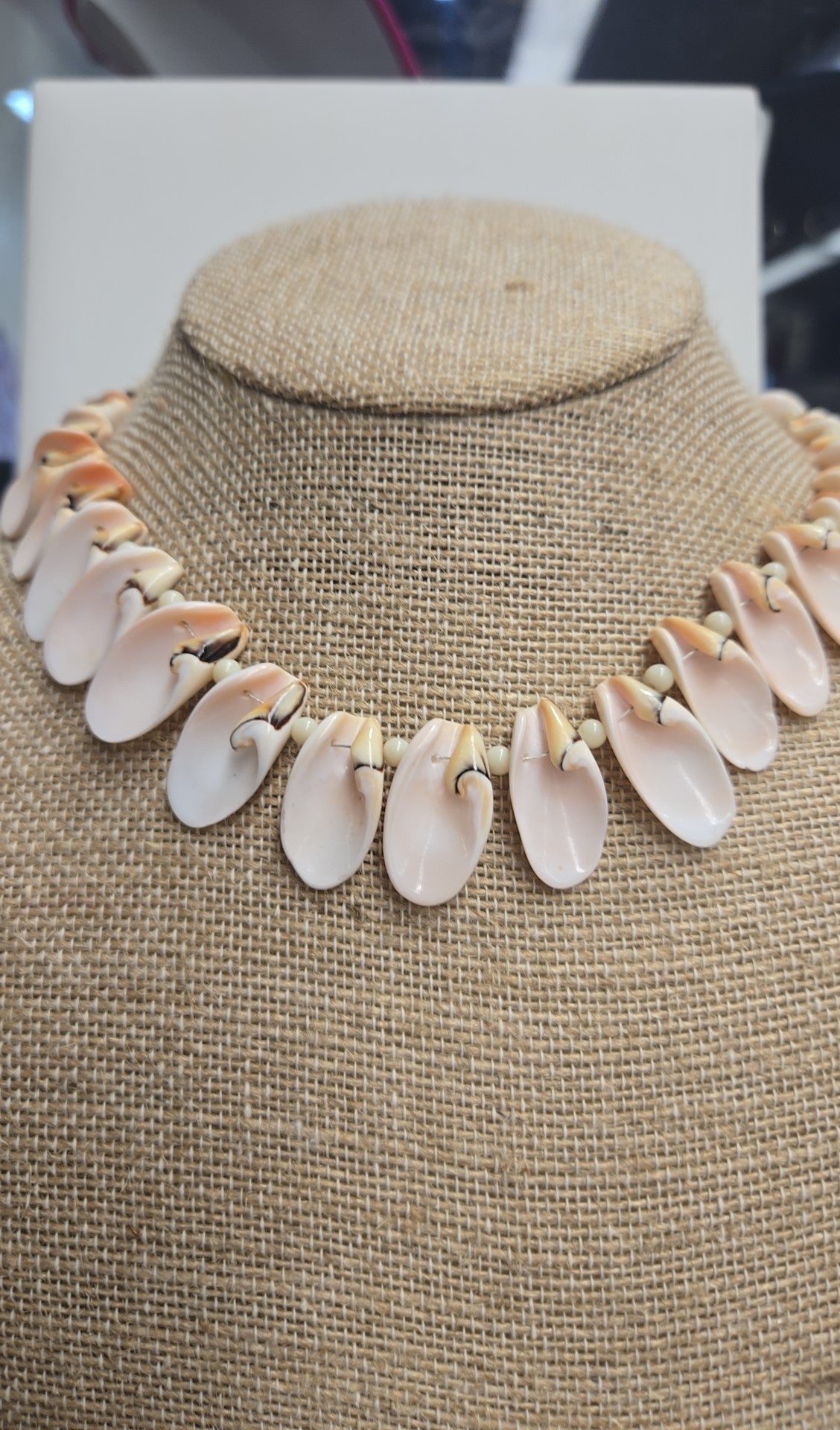 Shell Necklace