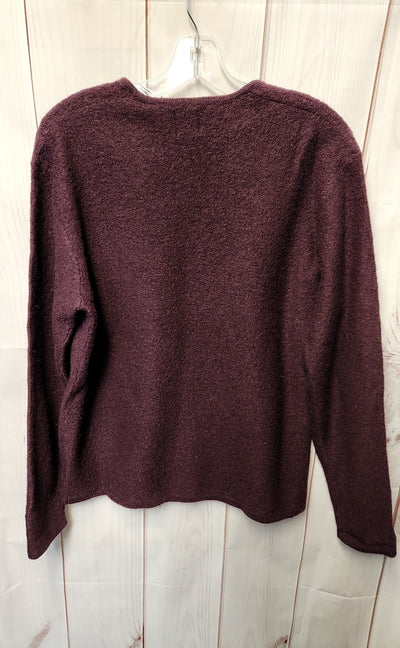 Gap Men's Size S Purple Wool Sweater