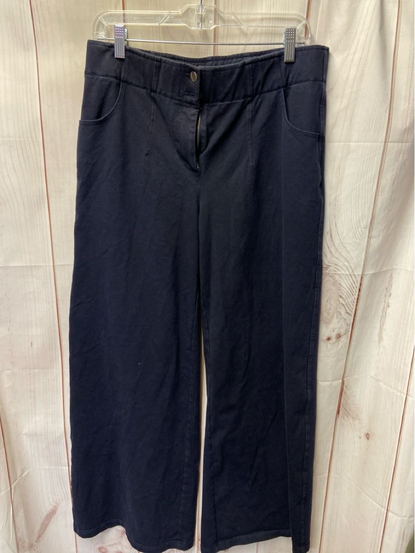 Chico's Women's Size 1.5 = 10 Navy Pants