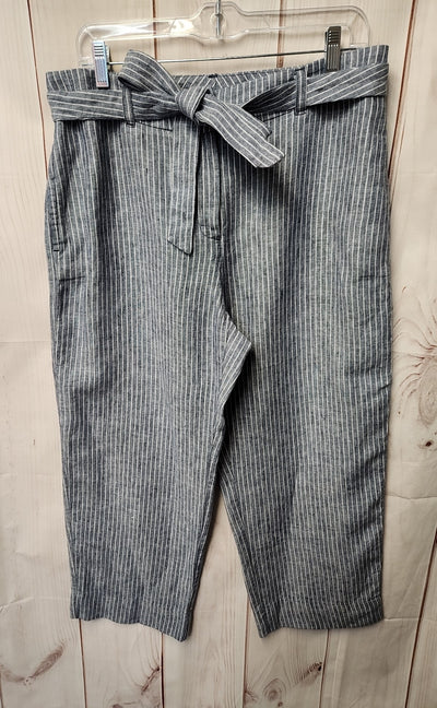 Chico's Women's Size 3 = US 16 Blue Pants