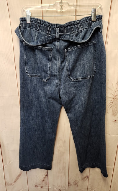 J Crew Women's Size 30 (9-10) Blue Jeans
