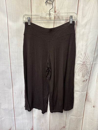 Loft Women's Size XS Brown Capris