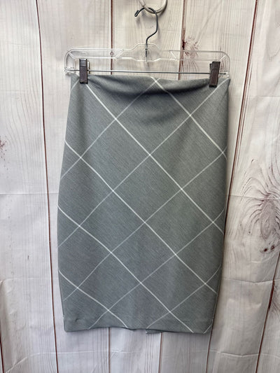 Express Women's Size 4 Gray Skirt