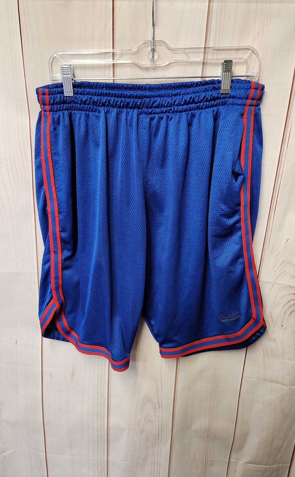Champion Men's Size L Blue Shorts
