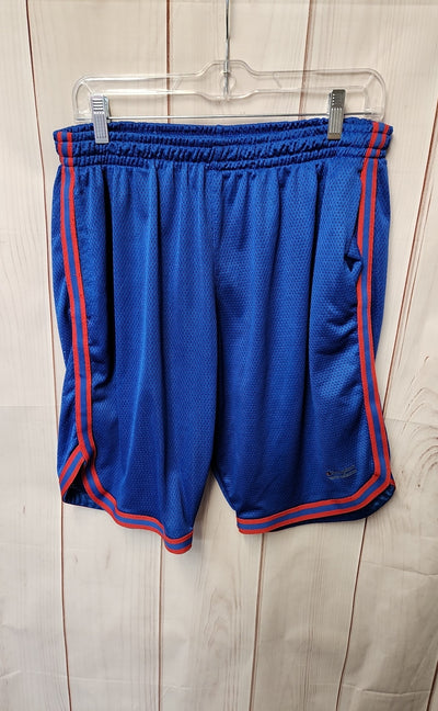 Champion Men's Size L Blue Shorts