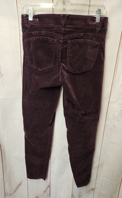Democracy Women's Size 6 Purple Pants
