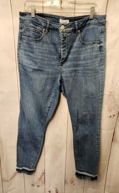 Loft Women's Size 31 (11-12) Blue Jeans Curvy Skinny