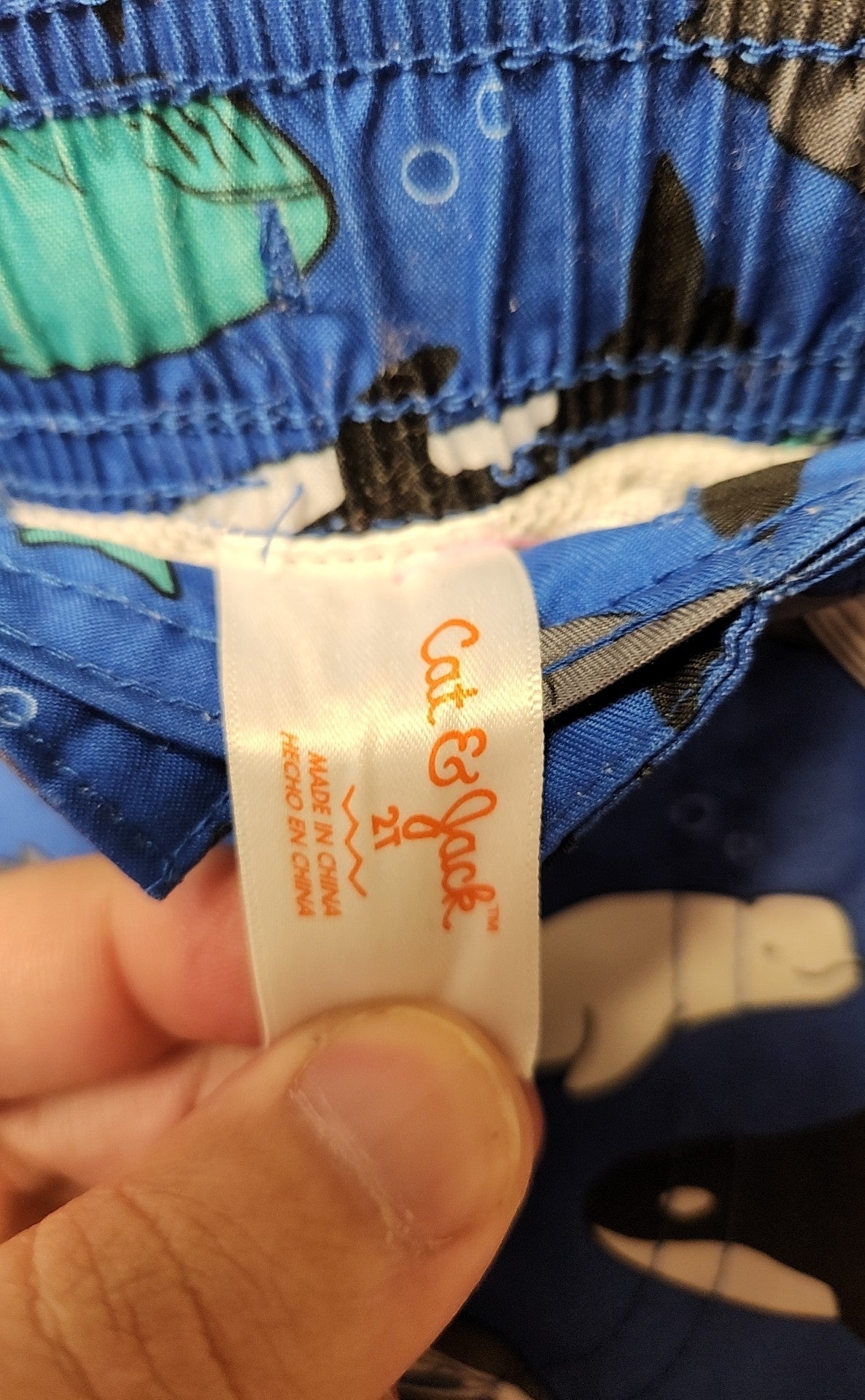 Cat & Jack Boy's Size 2 Blue Swim Trunks