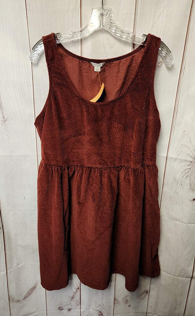 American Eagle Women's Size L Brown Corduroy Dress