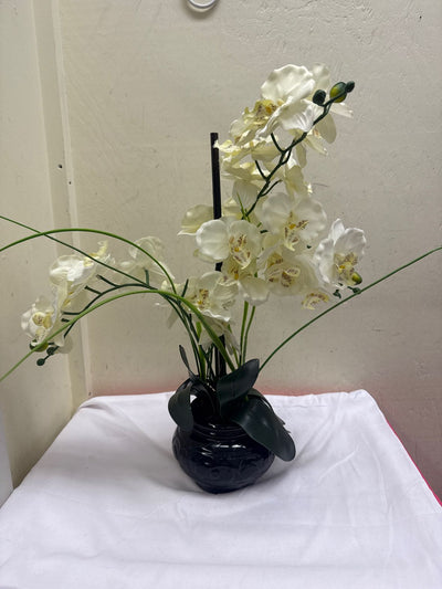 Orchid Floral Arrangement
