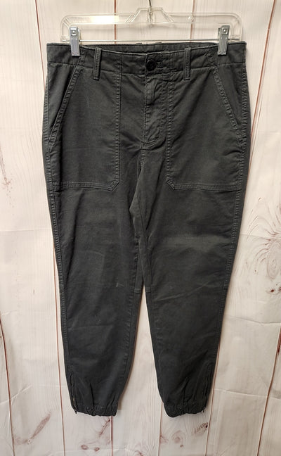Banana Republic Women's Size 8 Gray Pants