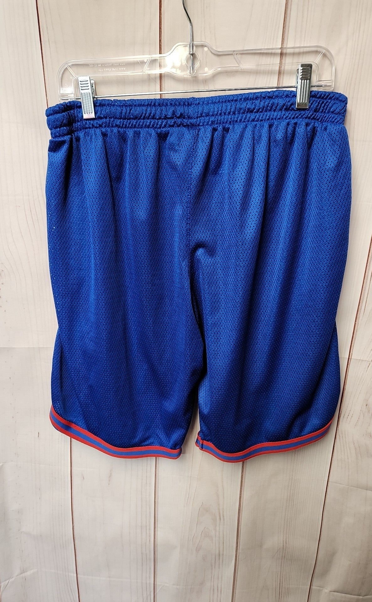 Champion Men's Size L Blue Shorts