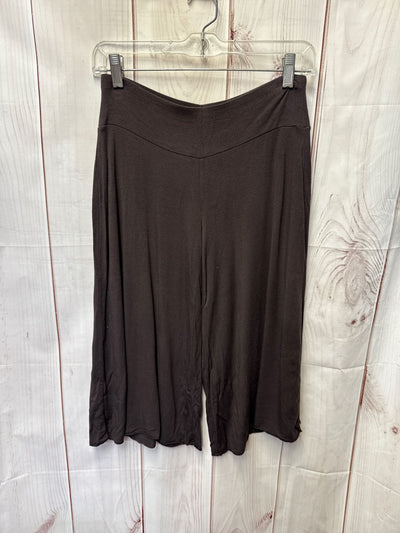 Loft Women's Size XS Brown Capris