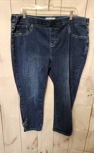 Charlie Women's Size 33 (15-16) Blue Jeans
