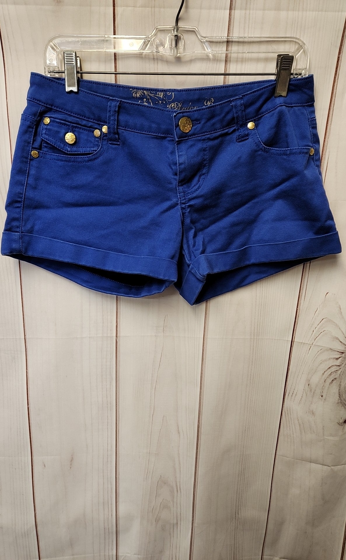 Arden B Women's Size 6 Blue Shorts