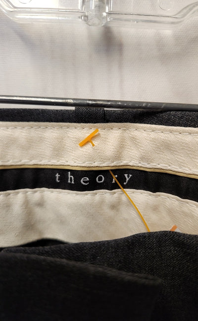 Theory Women's Size 8 Gray Pants
