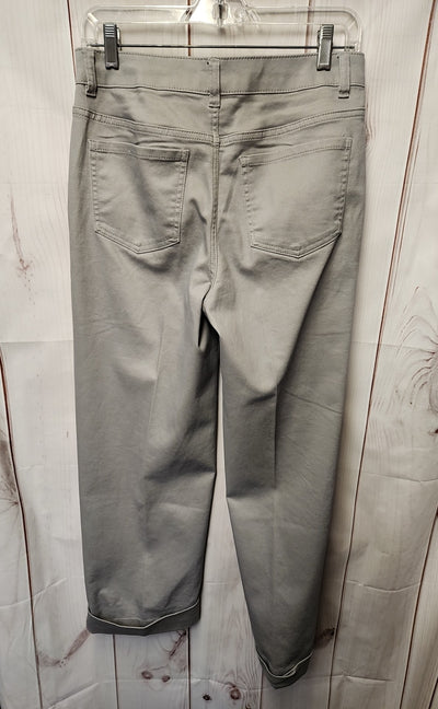 D Jeans Women's Size 8 Gray Pants