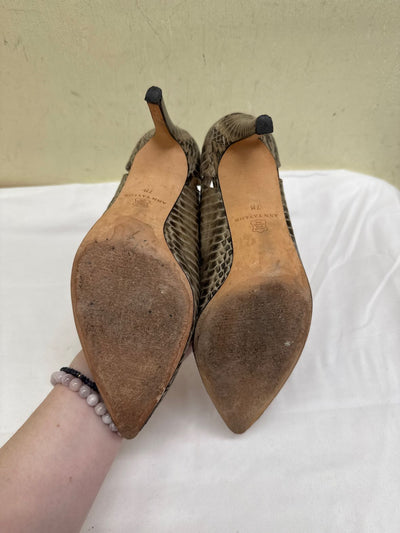 Ann Taylor Women's Size 7 Brown Pumps