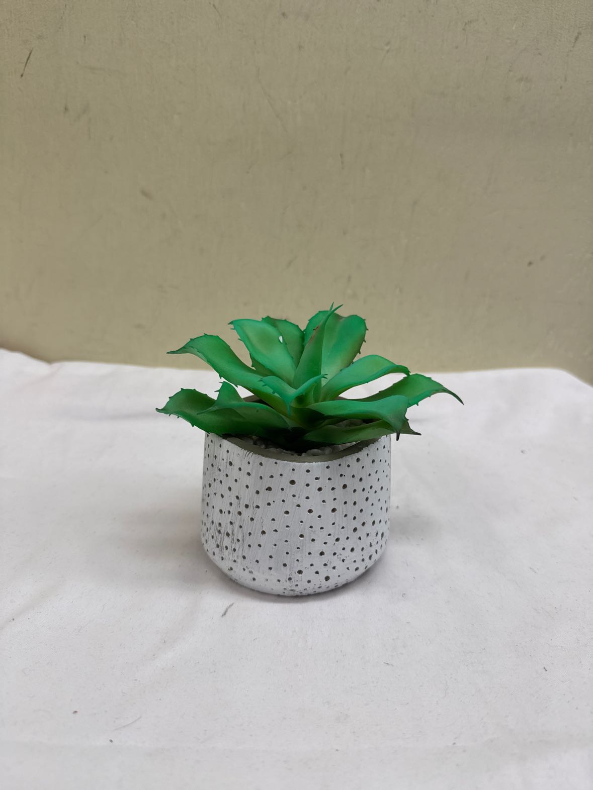 Cactus Plant Greenery