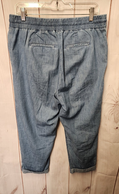 Talbots Women's Size M Petite Blue Pants