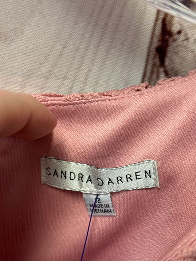 Sandra Darren Women's Size 12 Pink Lace Floral Dress