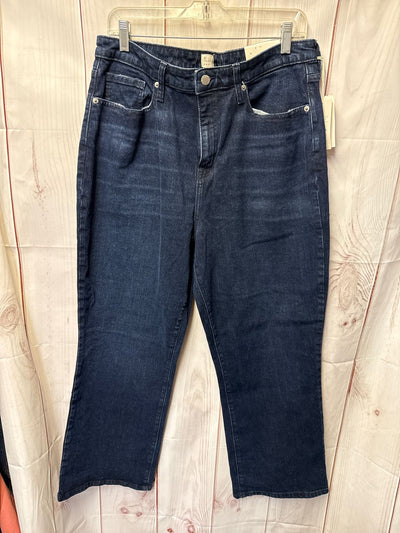NWT A New Day Women's Size 32 (13-14) Blue Jeans