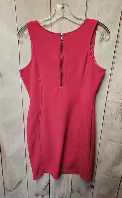 NWT Pink Rose Women's Size L Pink Dress
