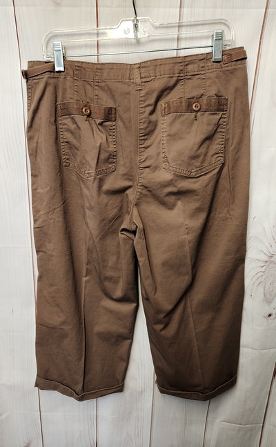 Classic Elements Women's Size 8 Petite Brown Capris