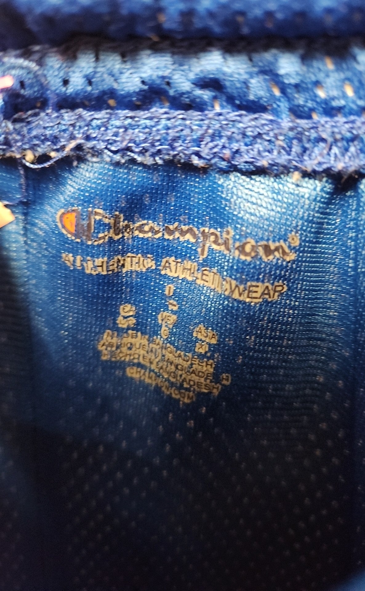 Champion Men's Size L Blue Shorts
