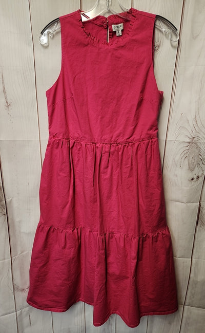 J Crew Women's Size 6 Pink Dress