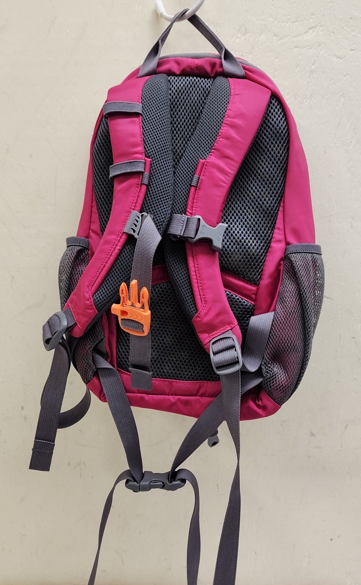 REI Pink Backpack