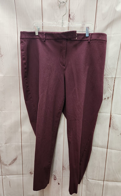 Talbots Women's Size 18W High Waist Straight Pant Purple Pants